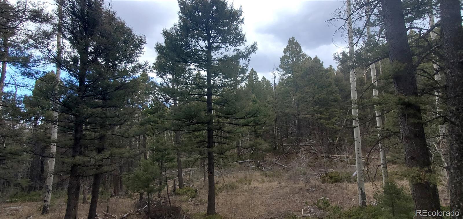 Lot 6090 Vreeland Road San Luis CO 81152