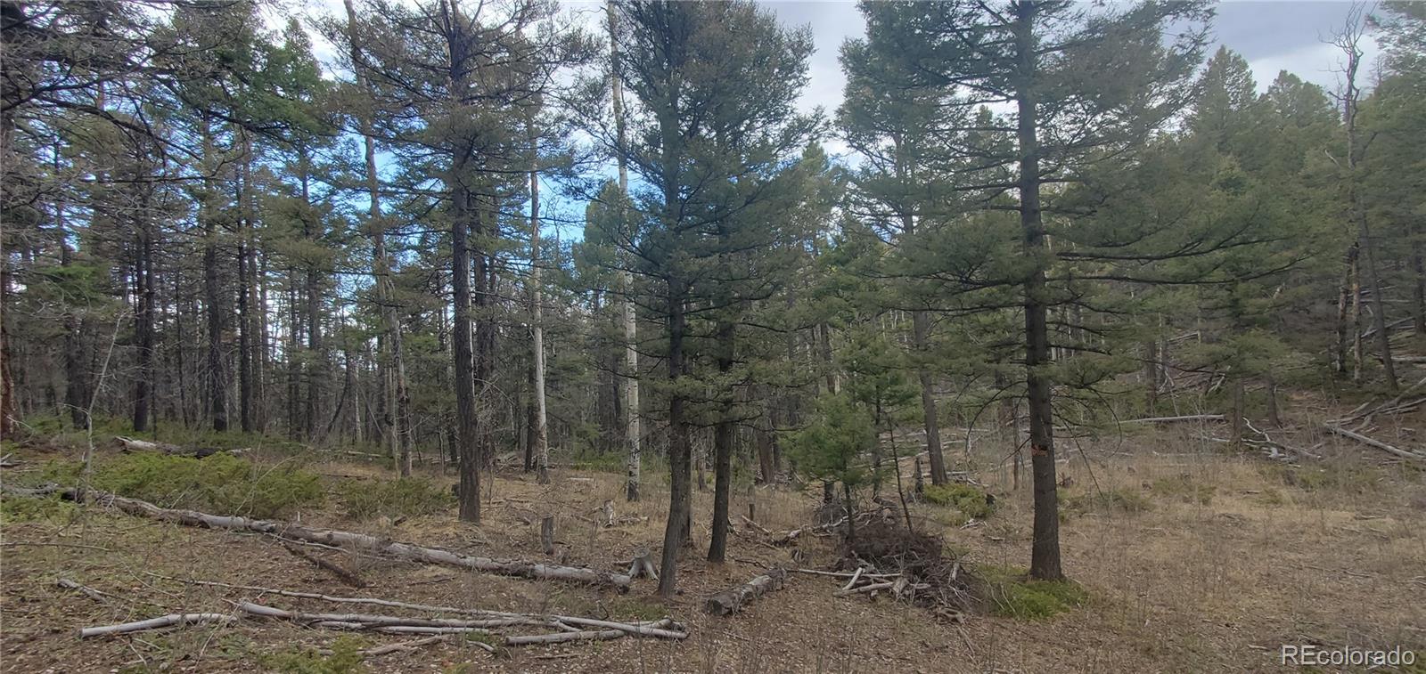 Lot 6090 Vreeland Road San Luis CO 81152