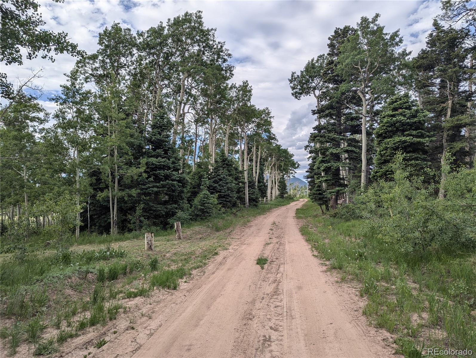 2433 Petito Drive Fort Garland CO 81133