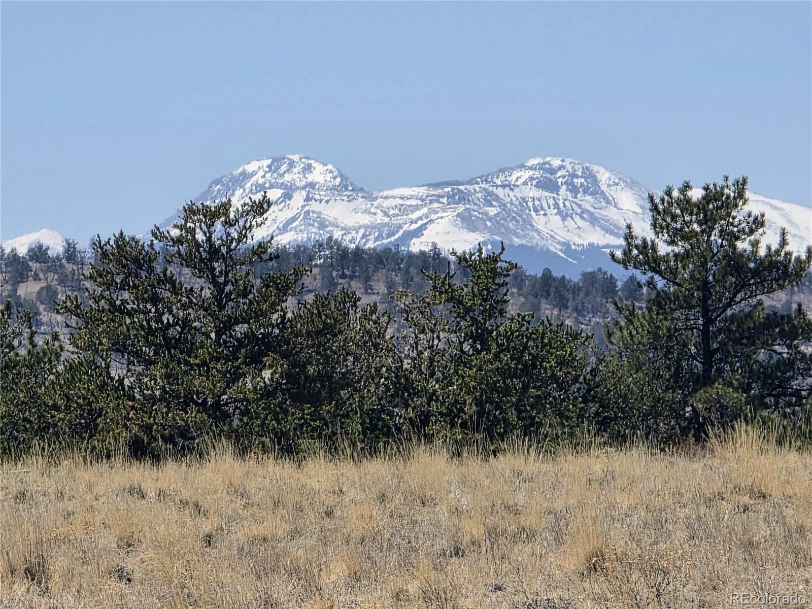 1000 Yellowstone Road Hartsel CO 80449