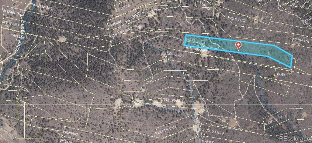 Lot 1 Eagle Mining Claim Dumont CO 80436
