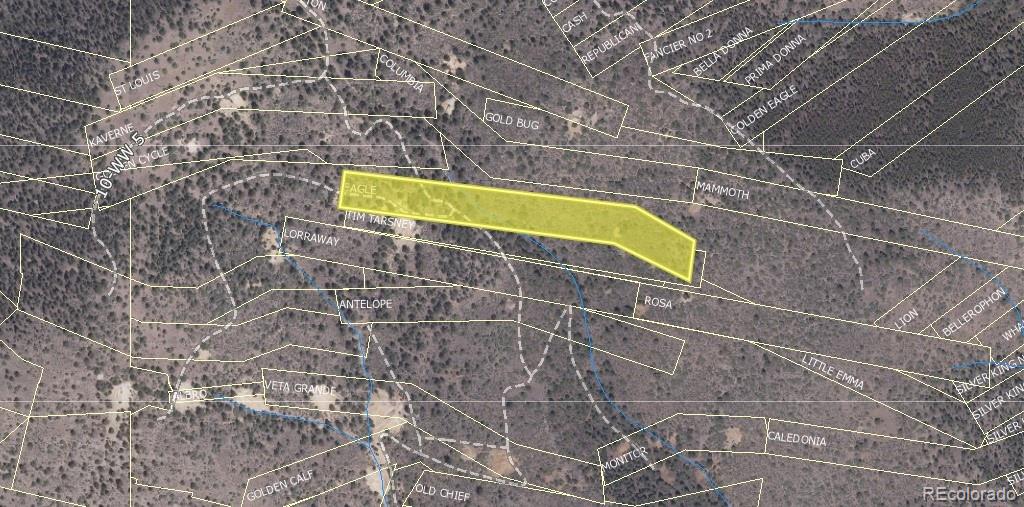Lot 1 Eagle Mining Claim Dumont CO 80436