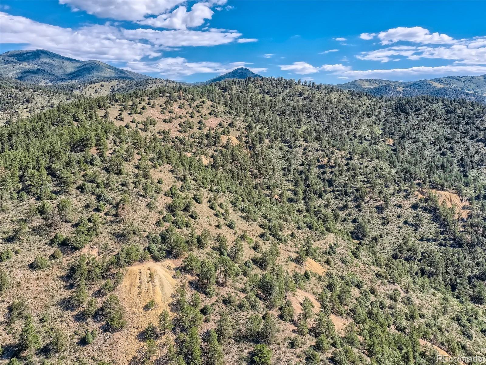 Lot 1 Eagle Mining Claim Dumont CO 80436