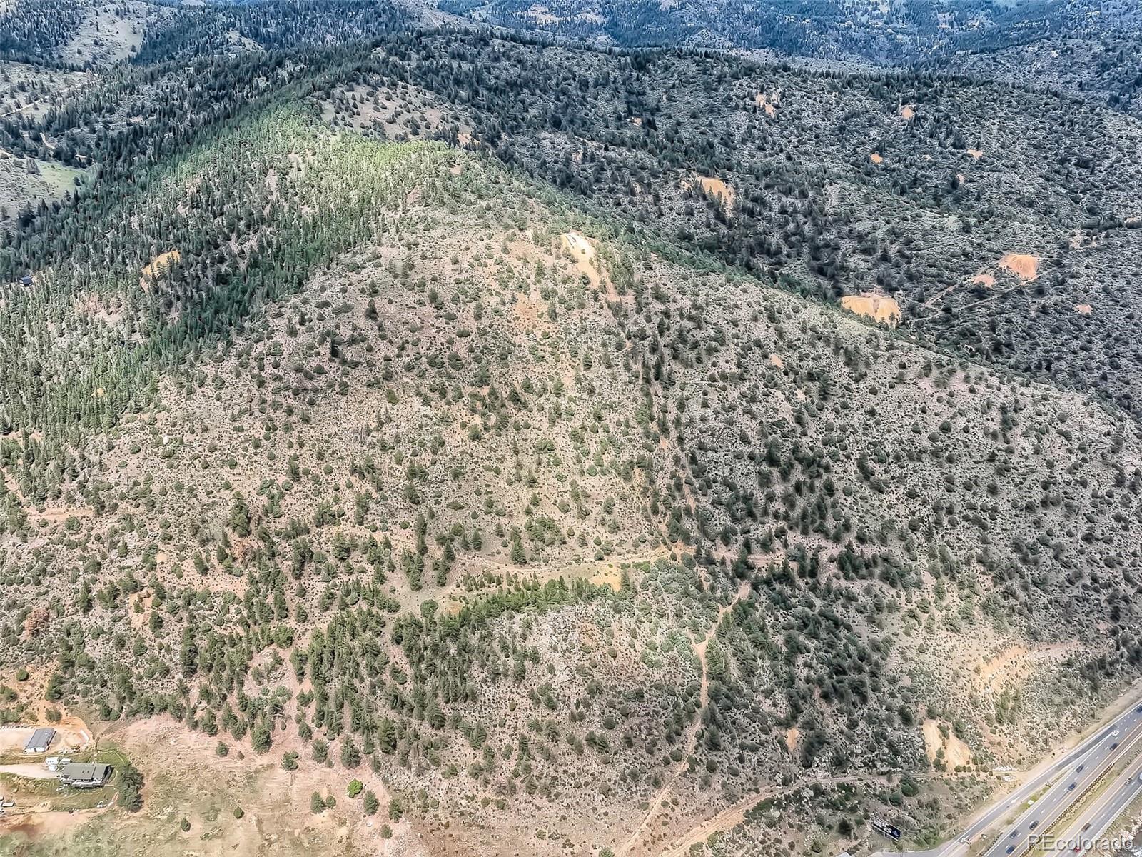Lot 1 Eagle Mining Claim Dumont CO 80436