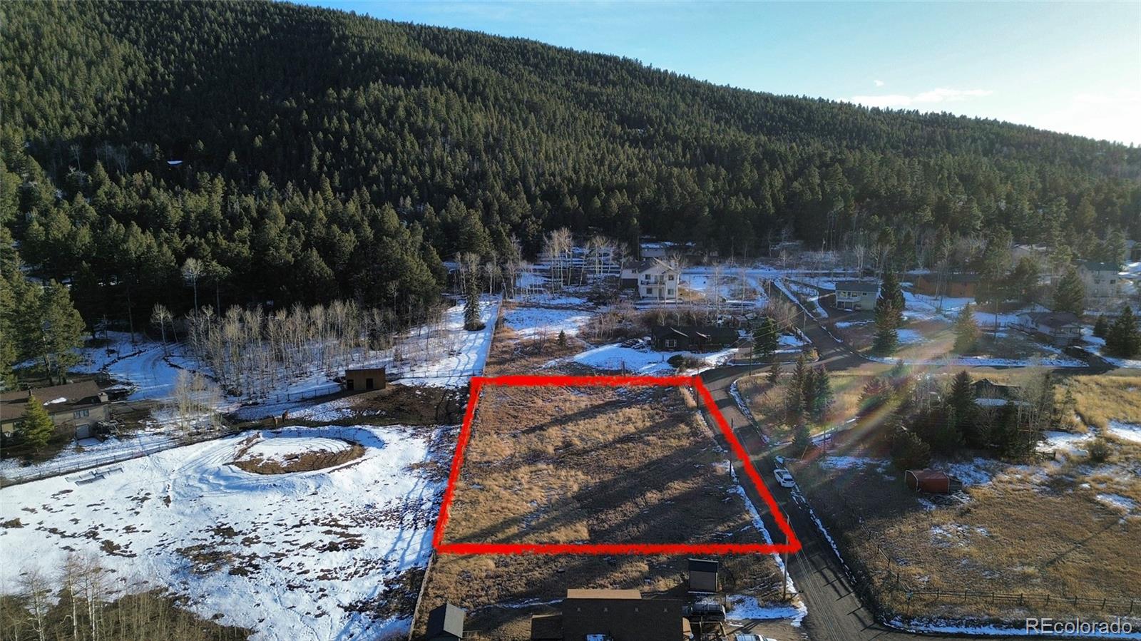 9802 Arnold Street Conifer CO 80433