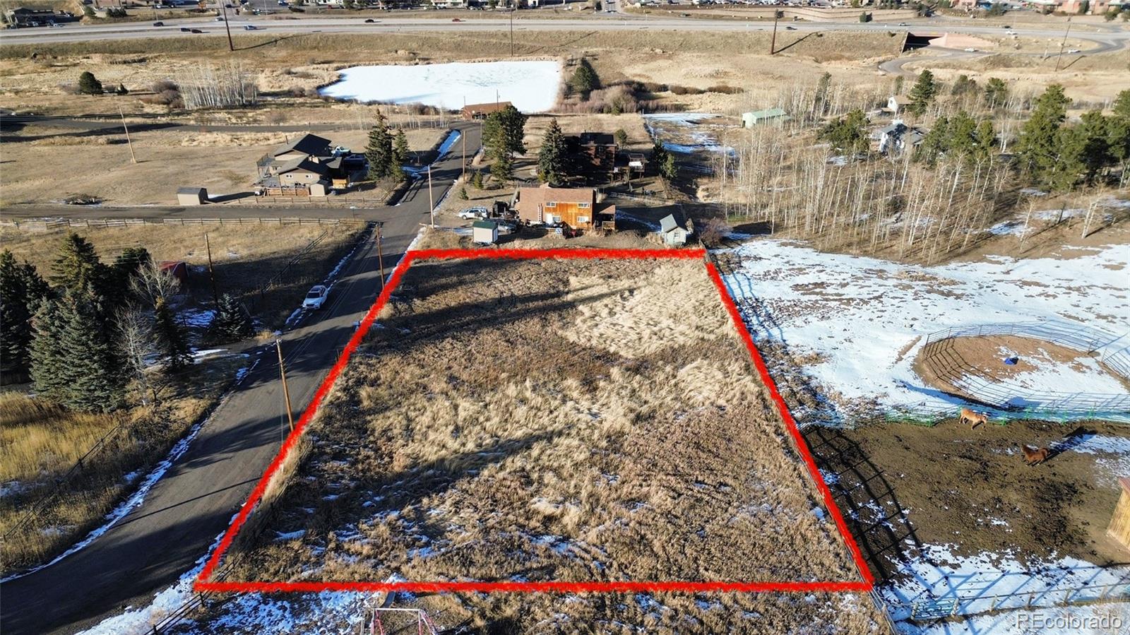 9802 Arnold Street Conifer CO 80433