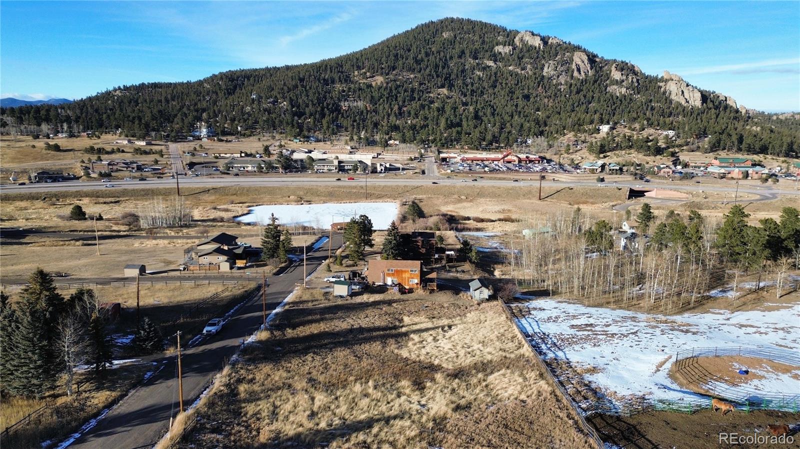 9802 Arnold Street Conifer CO 80433