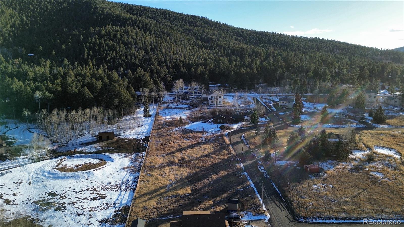 9802 Arnold Street Conifer CO 80433