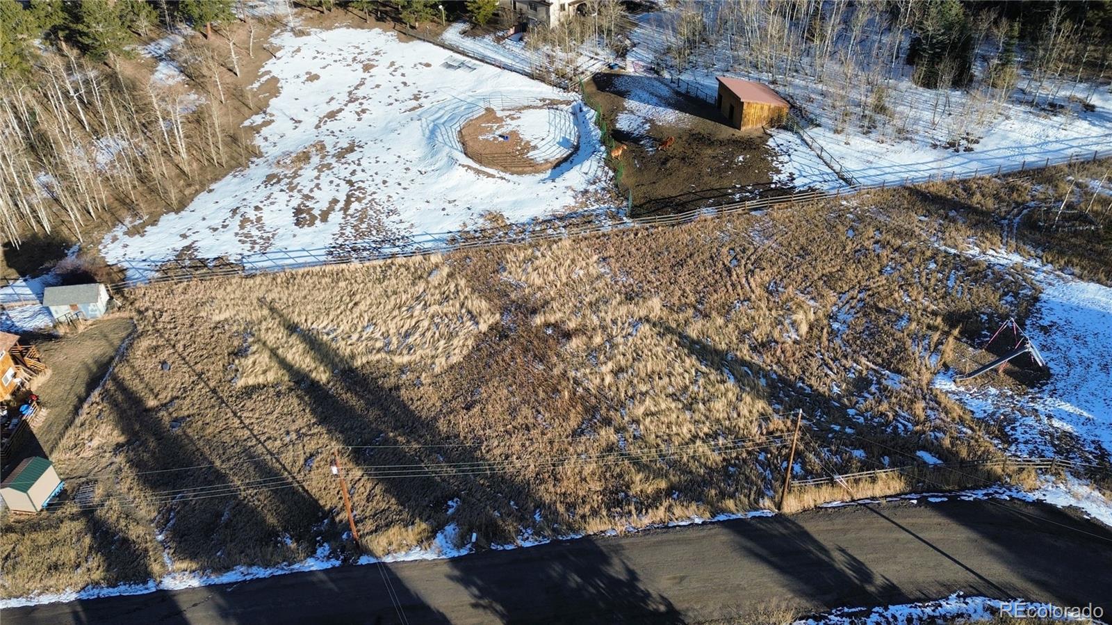 9802 Arnold Street Conifer CO 80433