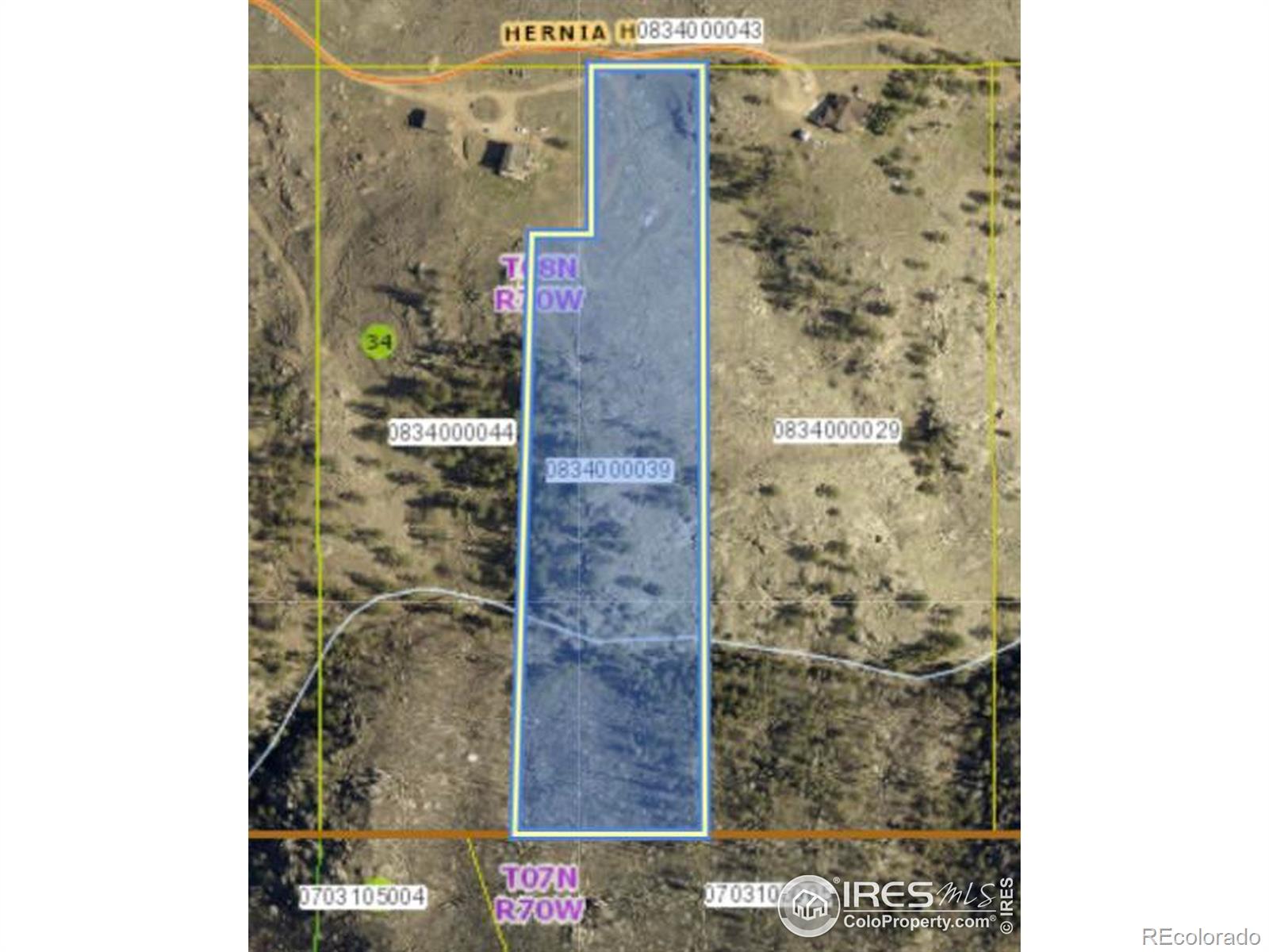 813 Hernia Hill Trail Bellvue CO 80512