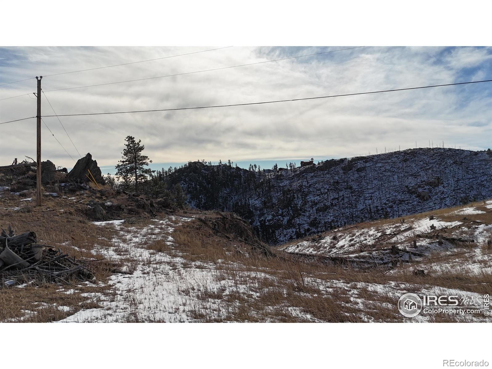 813 Hernia Hill Trail Bellvue CO 80512