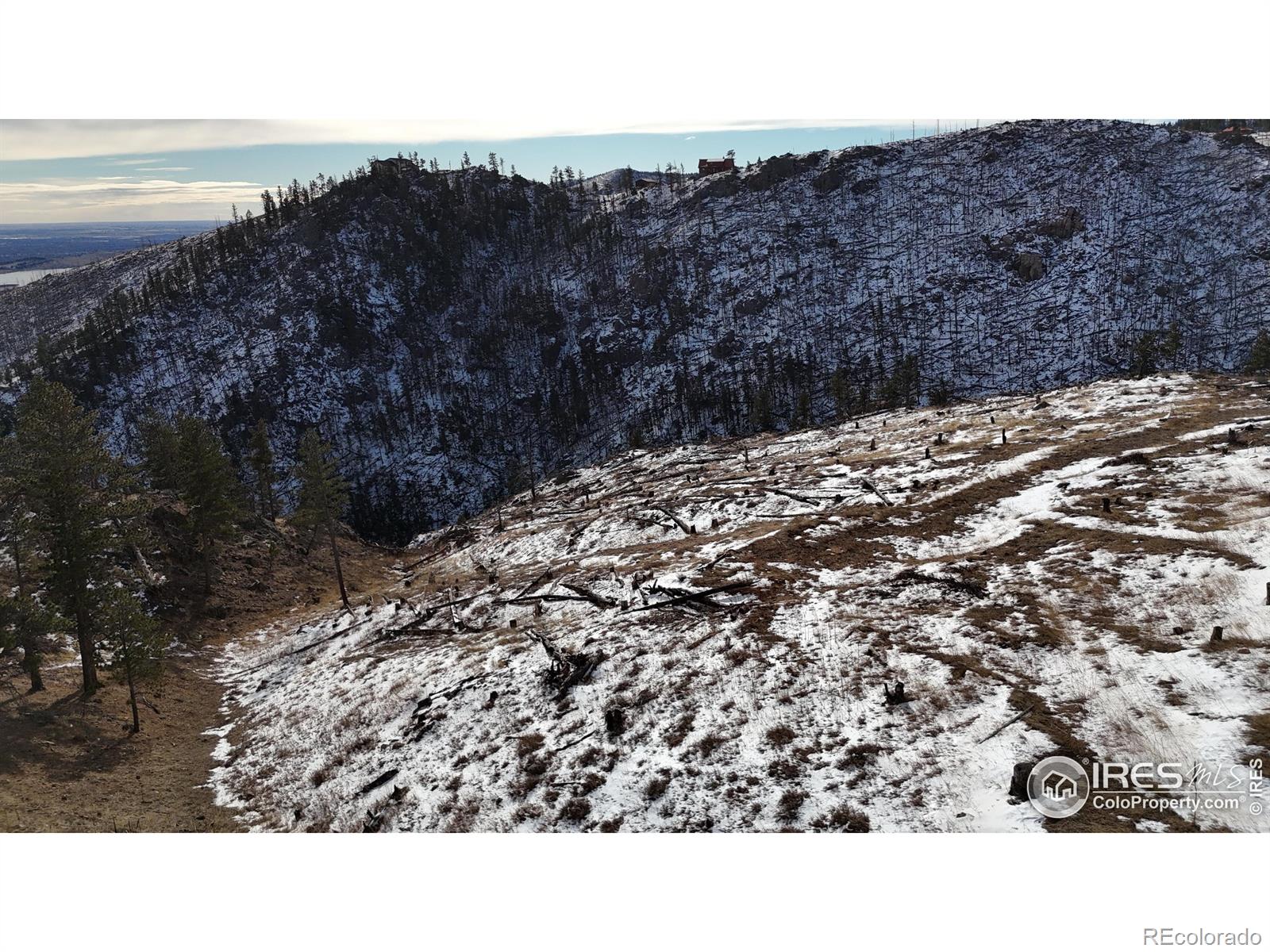 813 Hernia Hill Trail Bellvue CO 80512