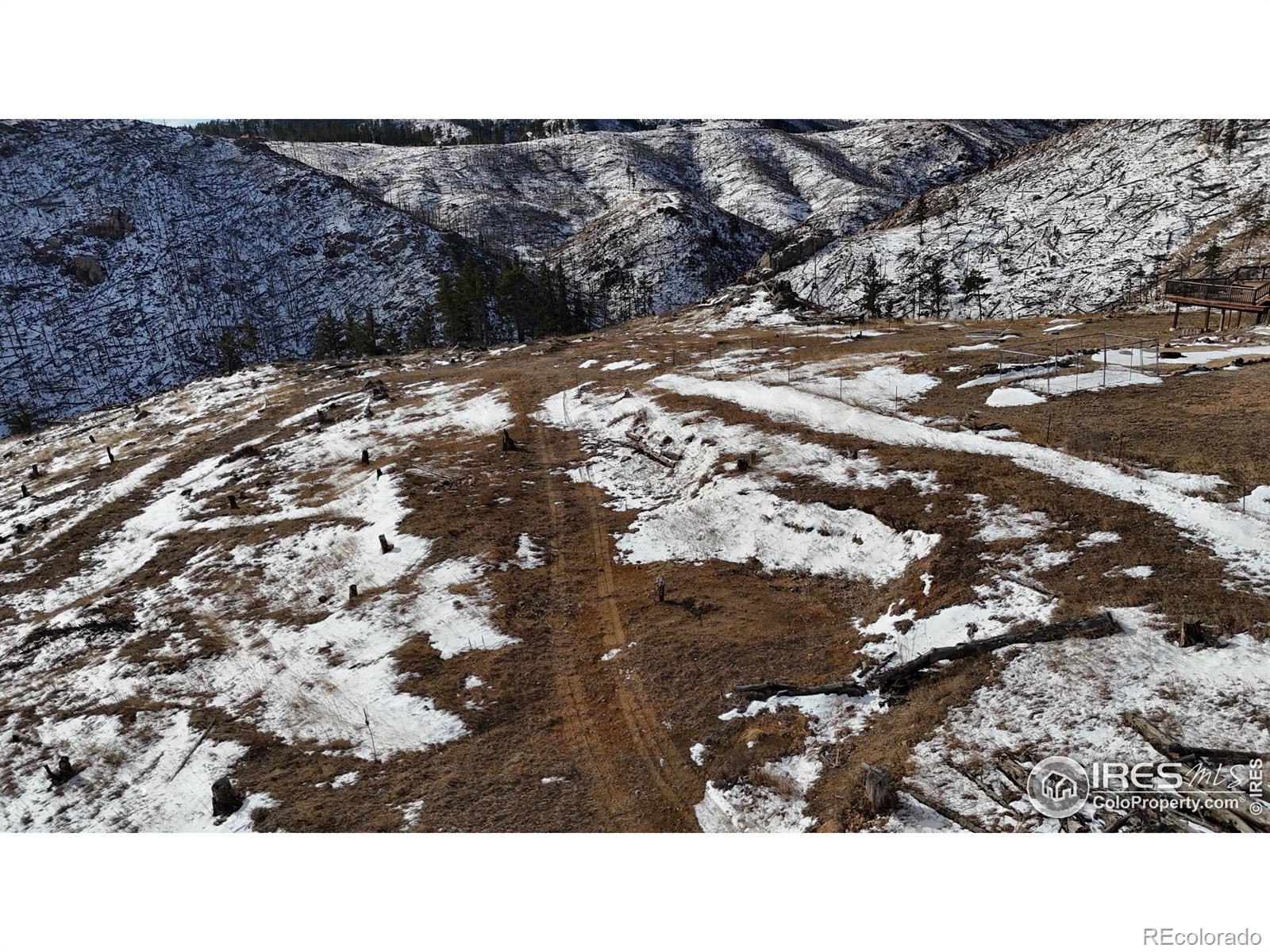 813 Hernia Hill Trail Bellvue CO 80512