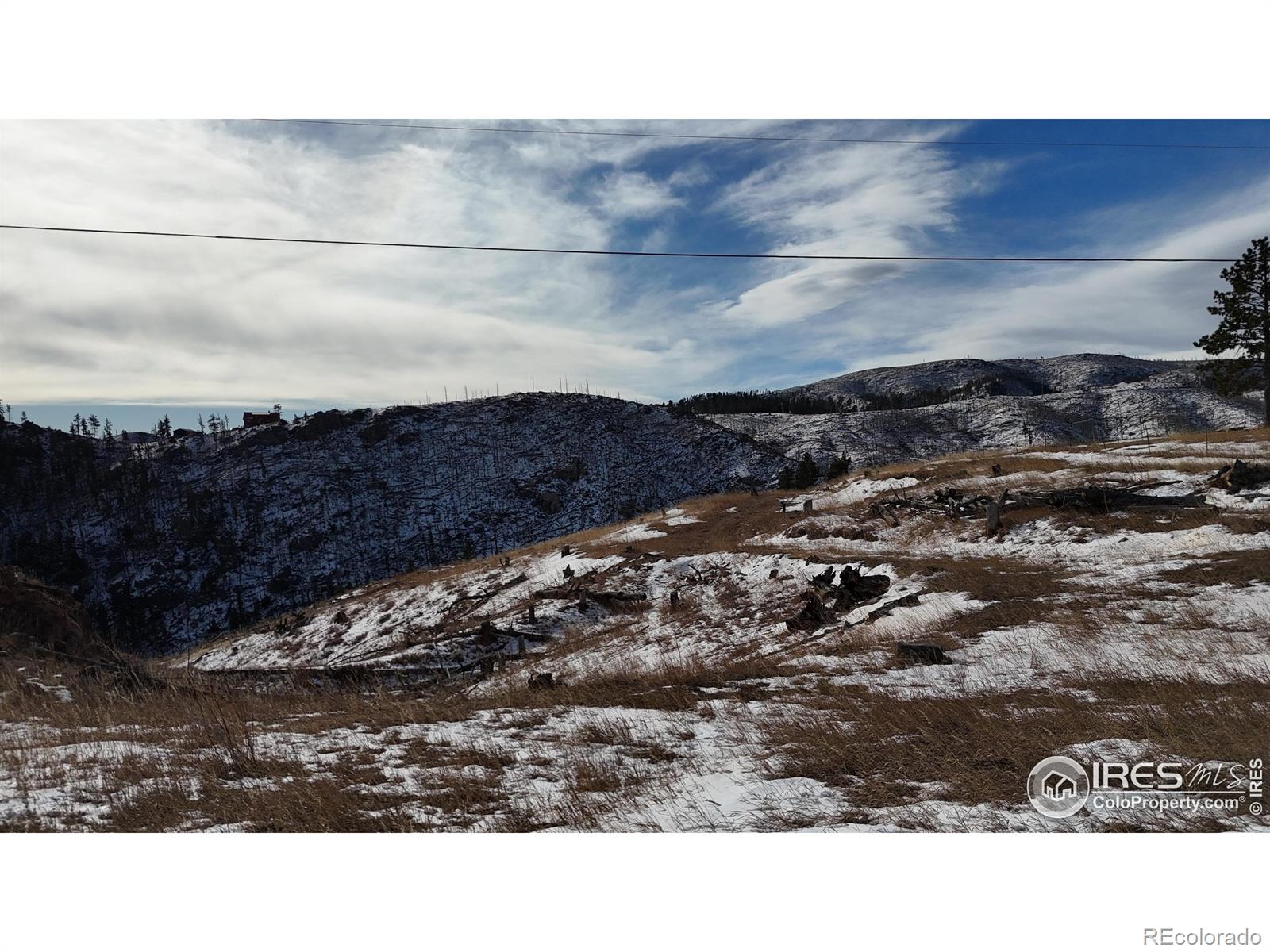 813 Hernia Hill Trail Bellvue CO 80512