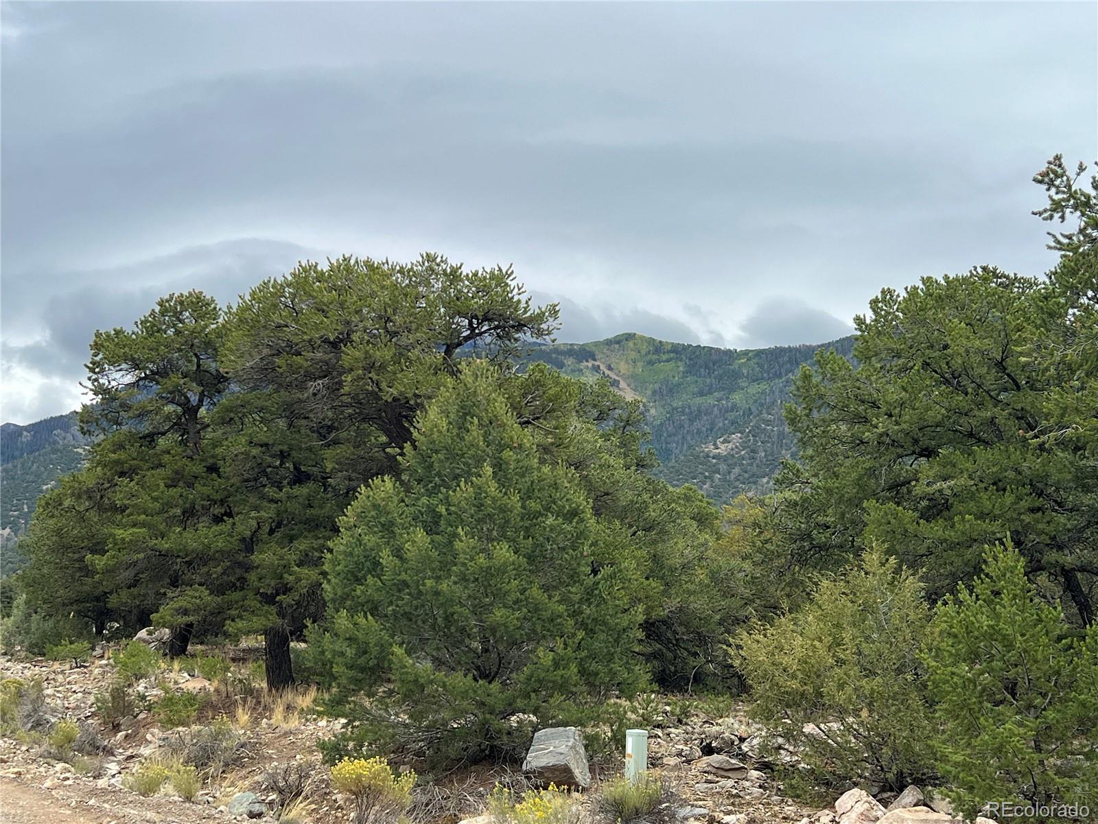 1916 Lone Pine Way Crestone CO 81131