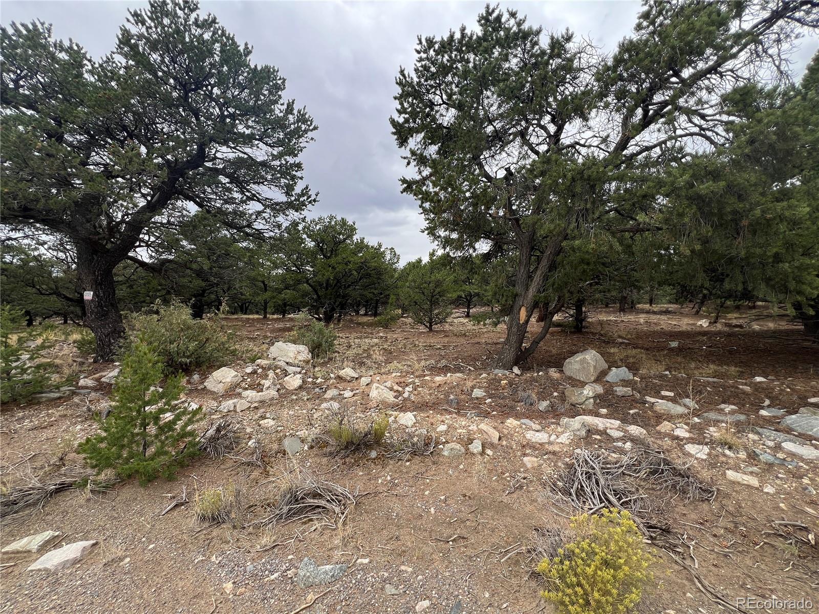 1916 Lone Pine Way Crestone CO 81131