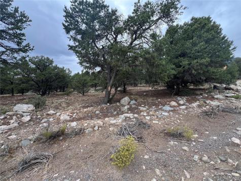 1916 Lone Pine Way Crestone CO 81131