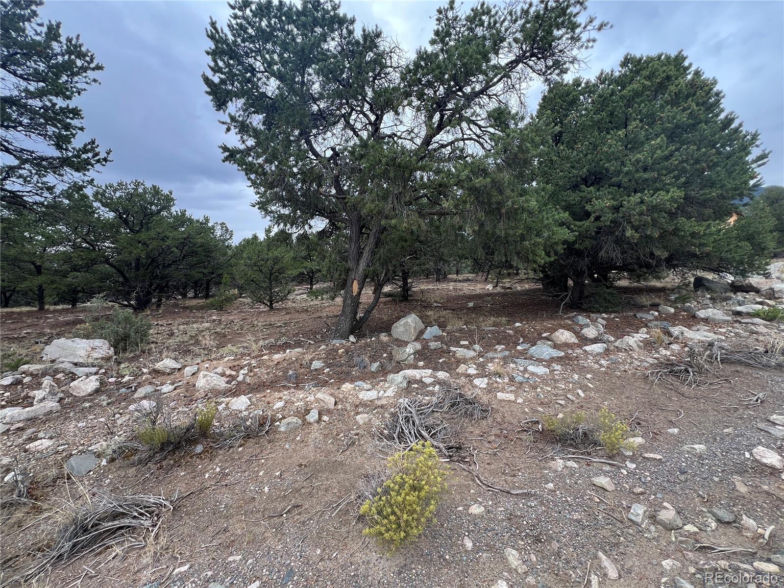 1916 Lone Pine Way Crestone CO 81131