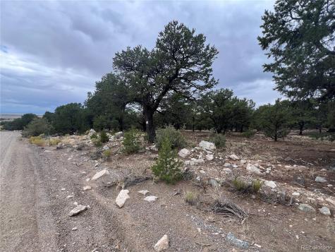 1916 Lone Pine Way Crestone CO 81131