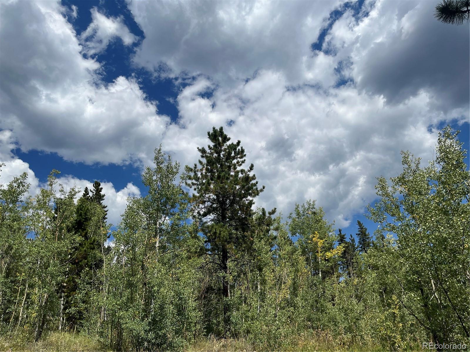 795 Russell Gulch Road Central City CO 80427