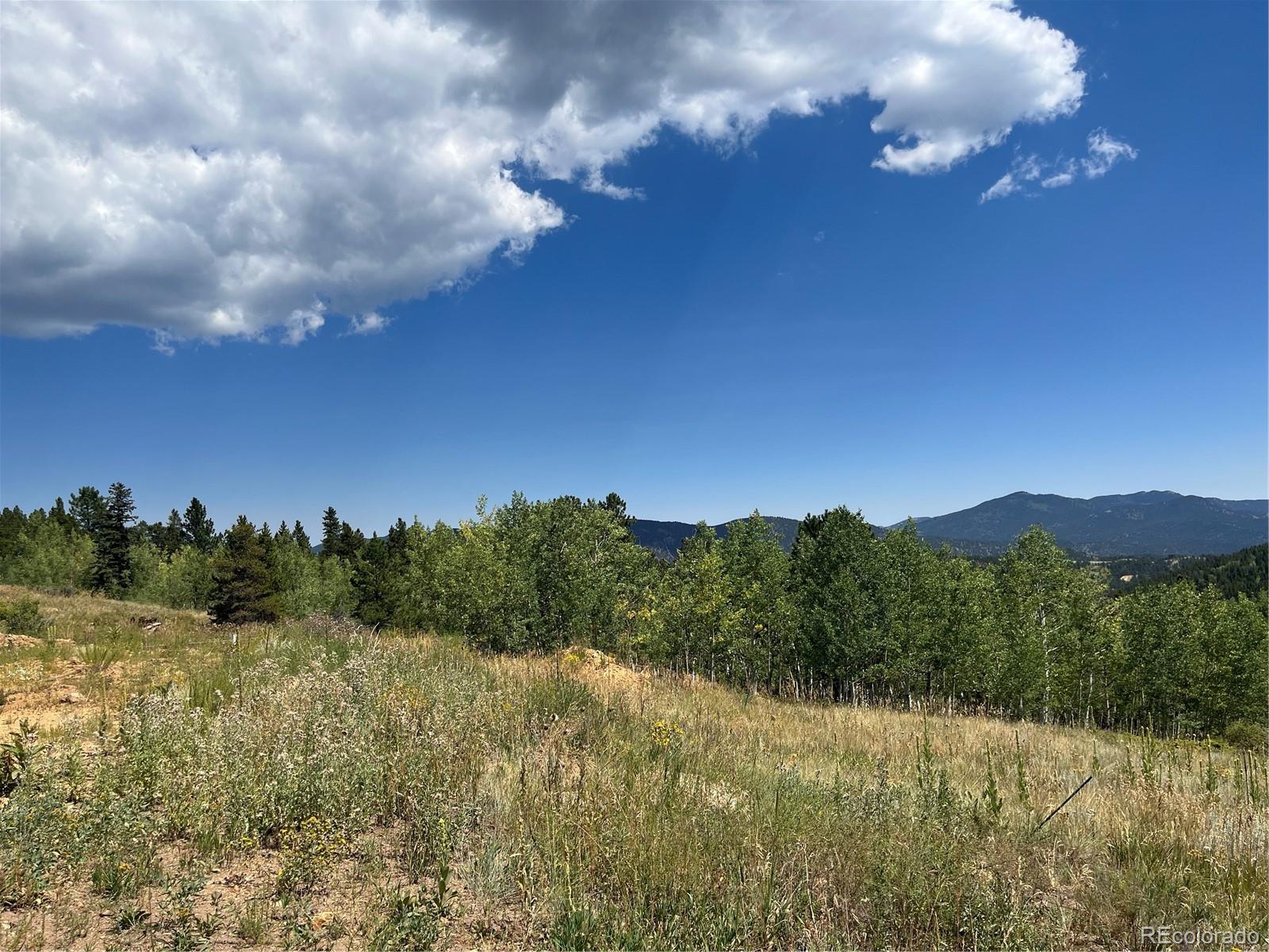 795 Russell Gulch Road Central City CO 80427
