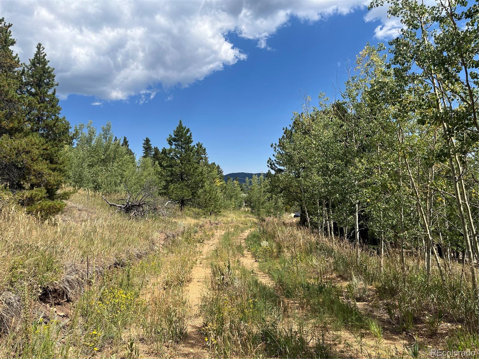 795 Russell Gulch Road Central City CO 80427