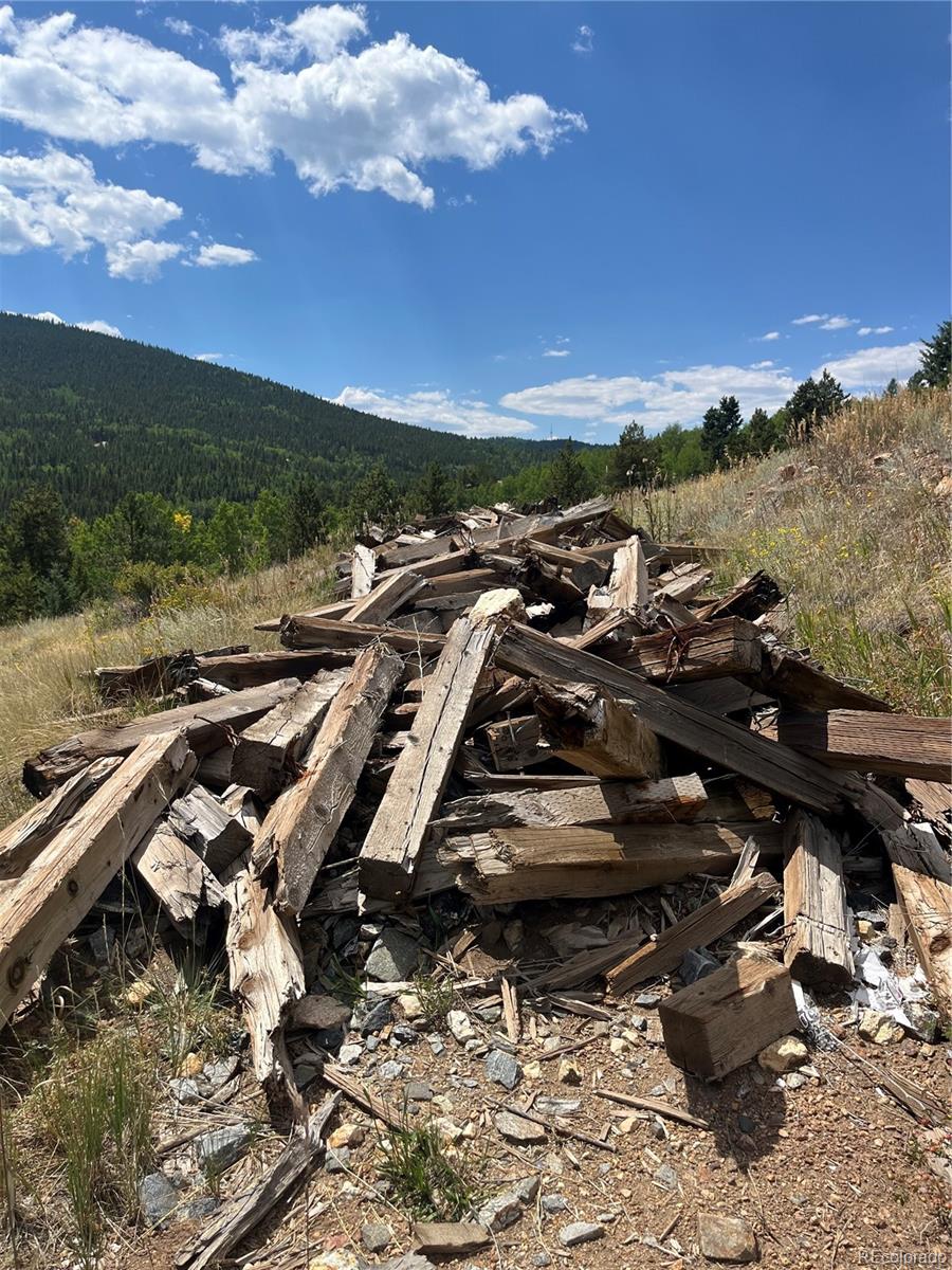 795 Russell Gulch Road Central City CO 80427