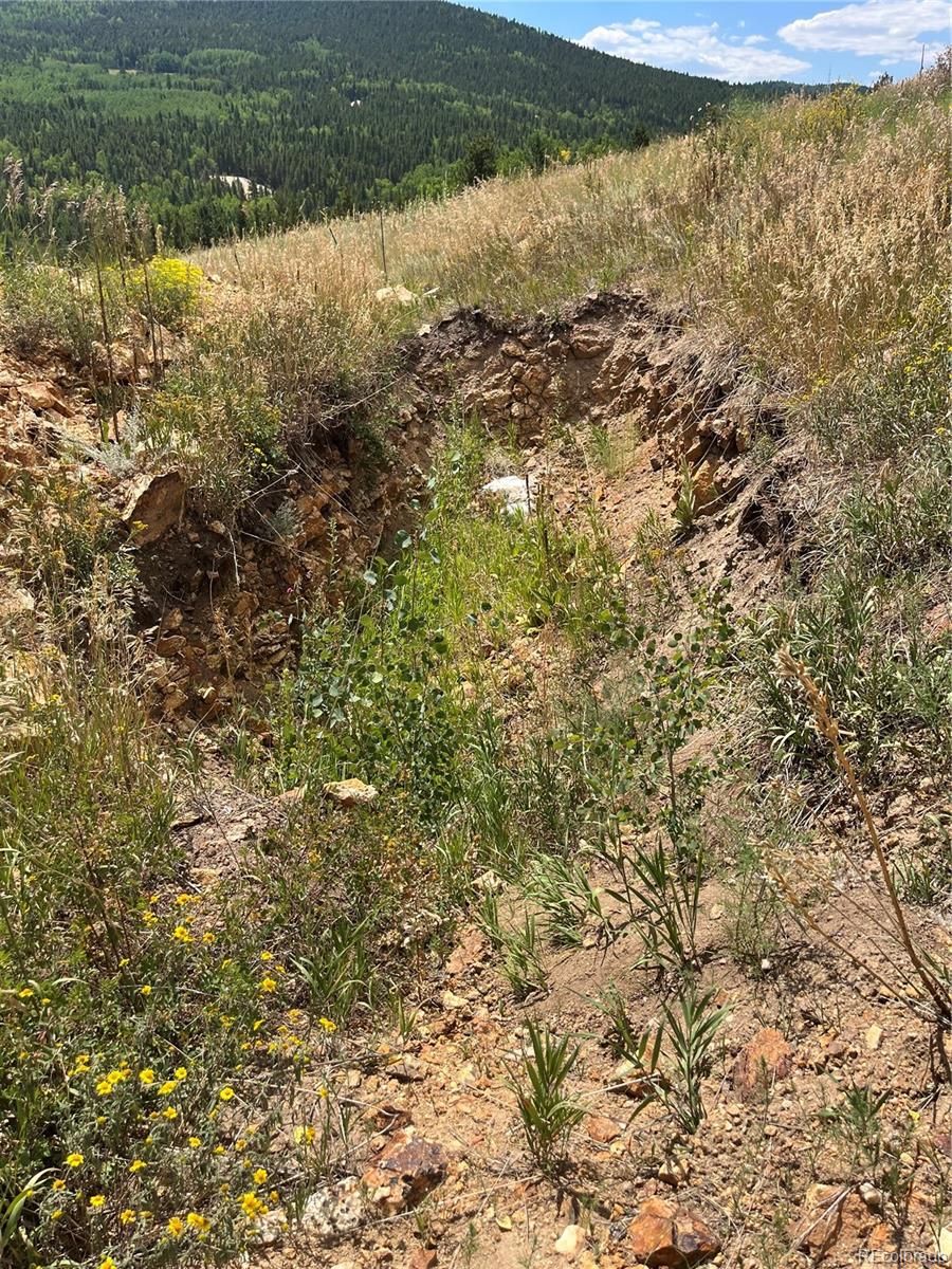 795 Russell Gulch Road Central City CO 80427