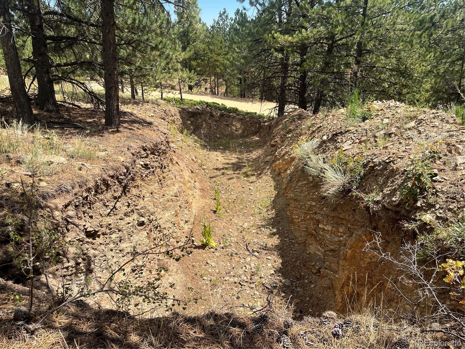 795 Russell Gulch Road Central City CO 80427