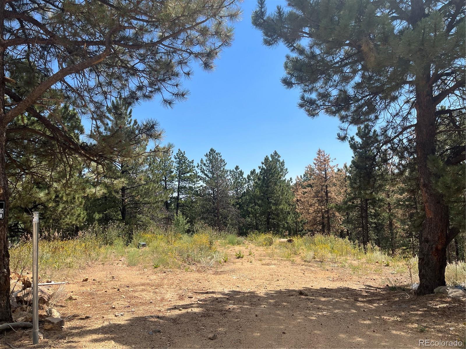 795 Russell Gulch Road Central City CO 80427