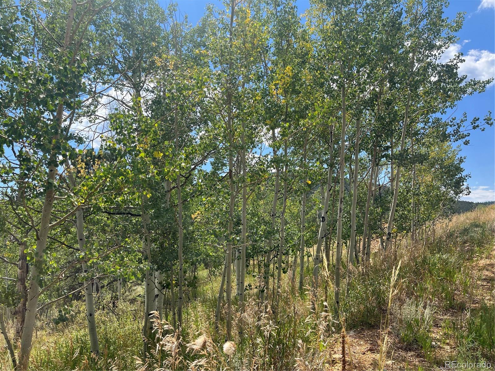 795 Russell Gulch Road Central City CO 80427