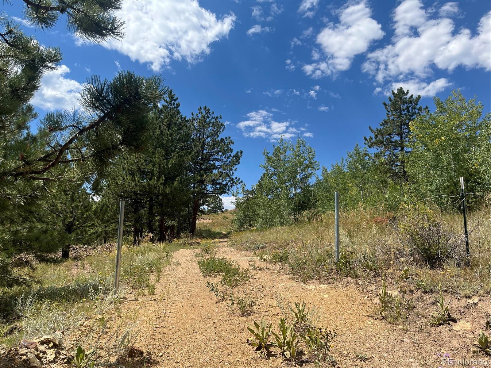 795 Russell Gulch Road Central City CO 80427
