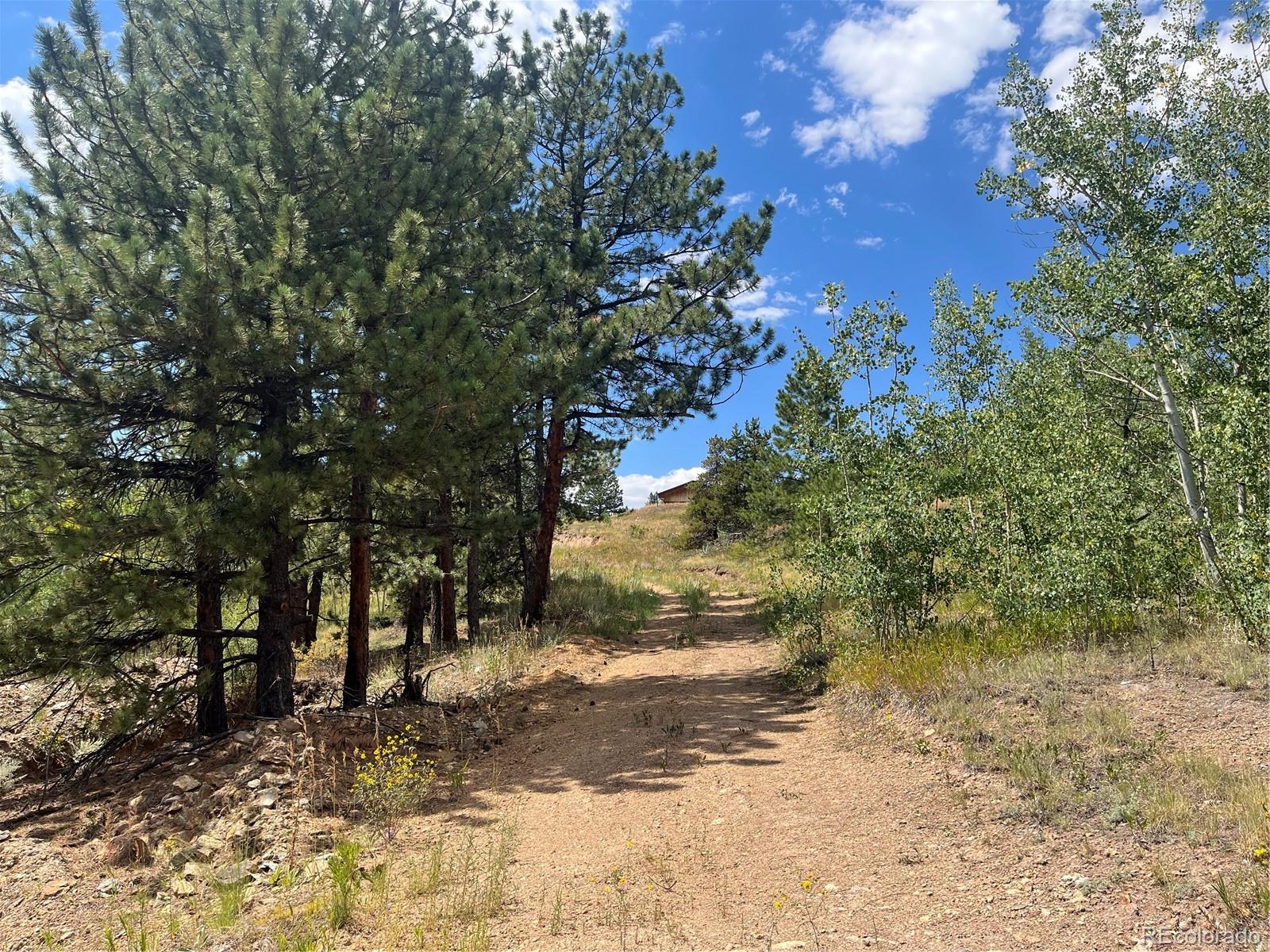 795 Russell Gulch Road Central City CO 80427