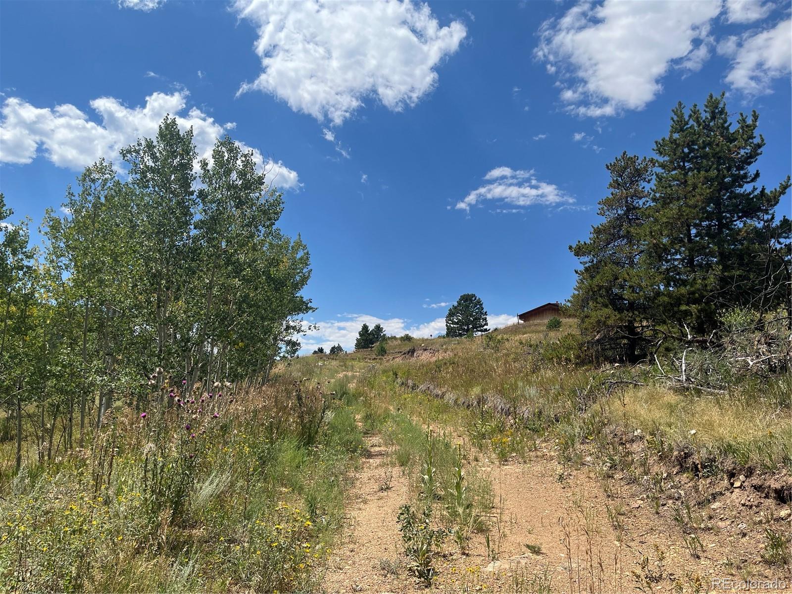 795 Russell Gulch Road Central City CO 80427