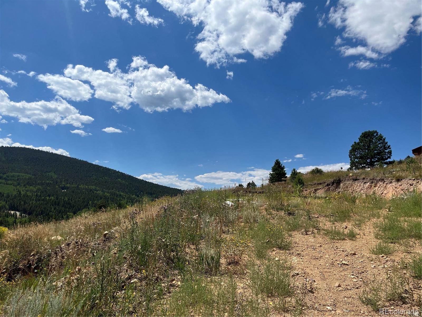 795 Russell Gulch Road Central City CO 80427
