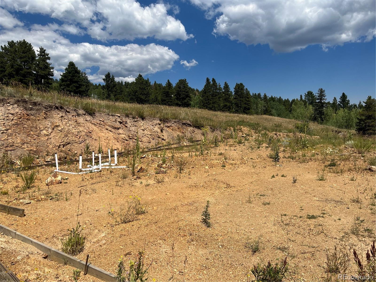 795 Russell Gulch Road Central City CO 80427