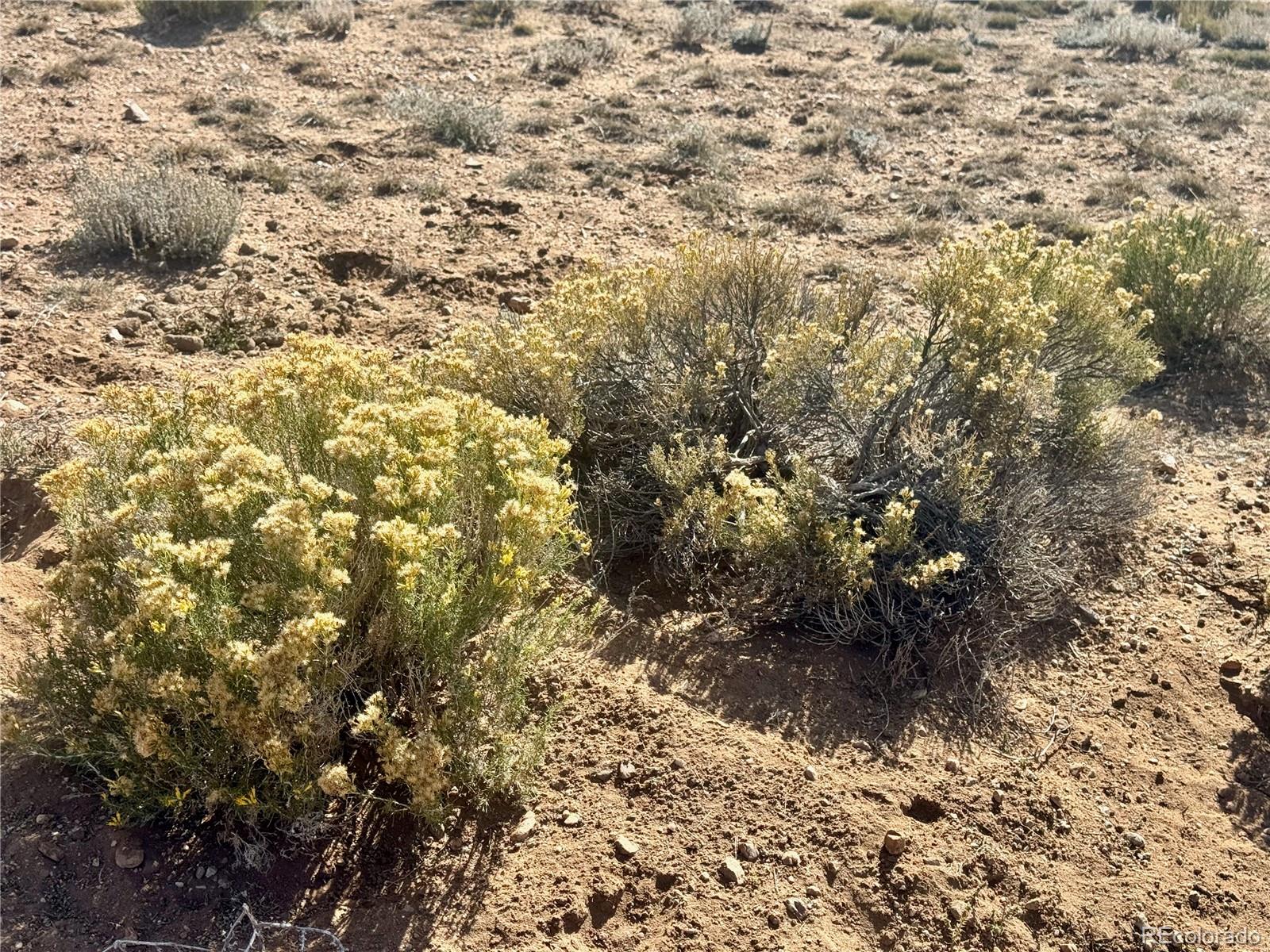 Lot 3 S 5th Street Blanca CO 81123