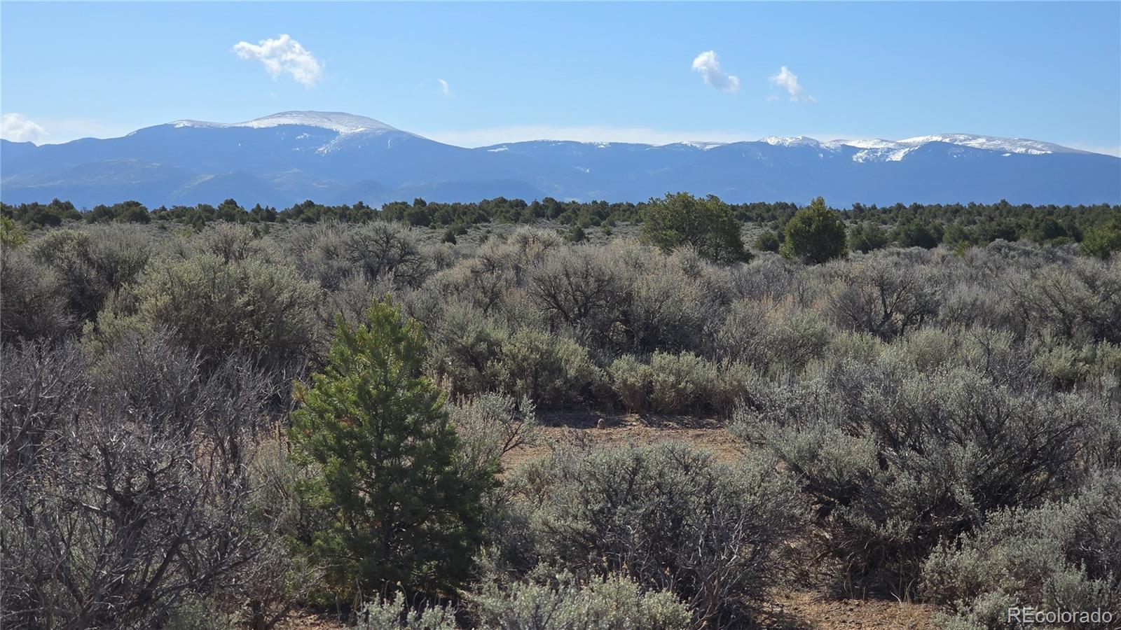 Lot 18 Green Tree Court San Luis CO 81152