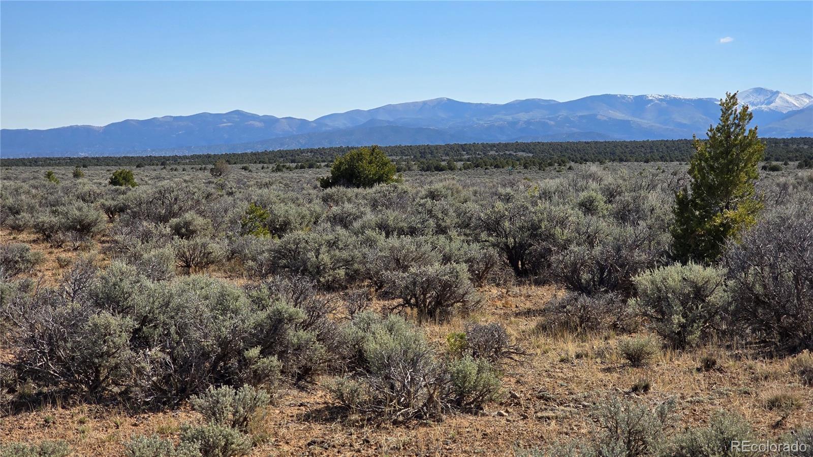 Lot 18 Green Tree Court San Luis CO 81152