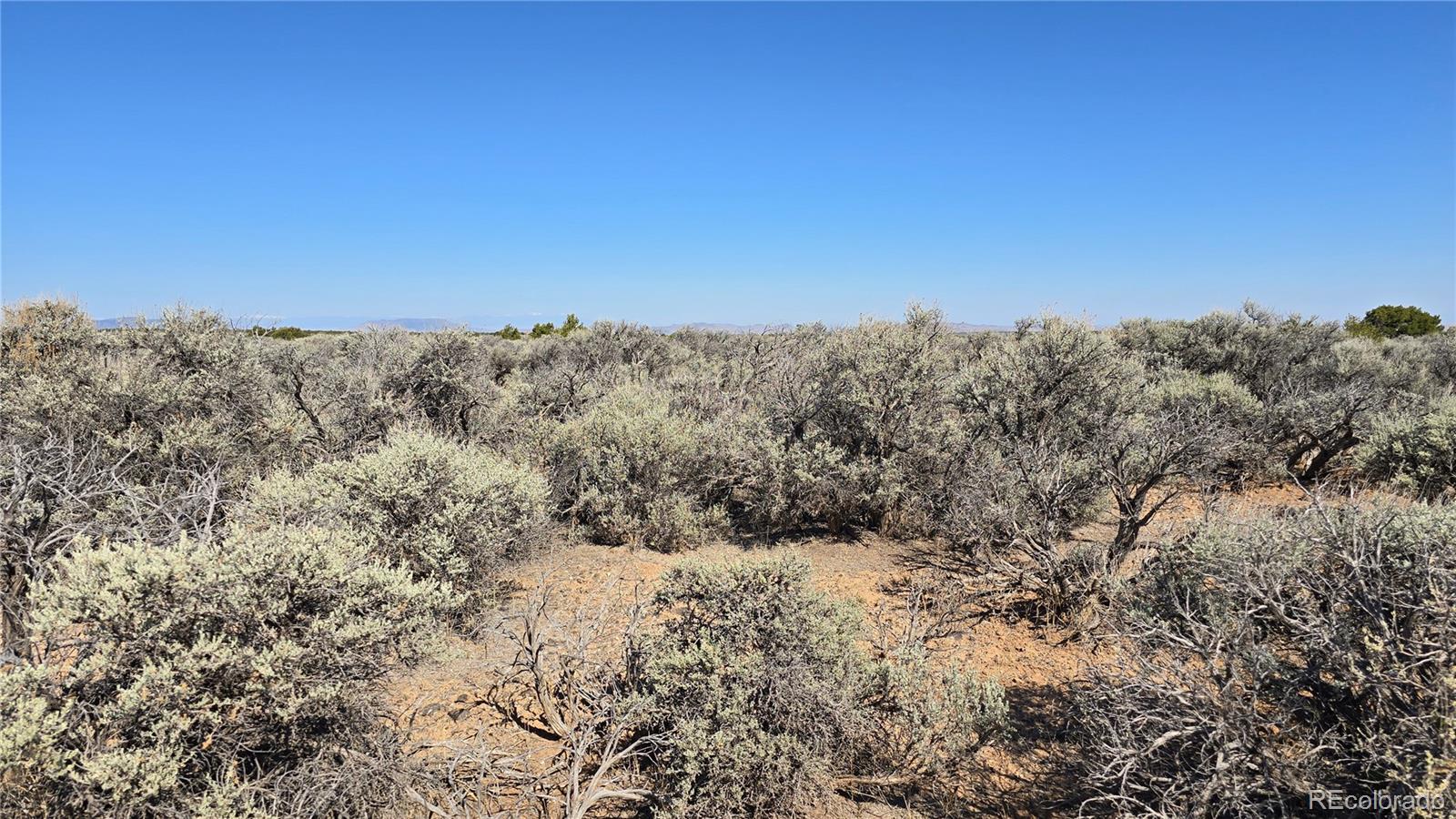 Lot 18 Green Tree Court San Luis CO 81152