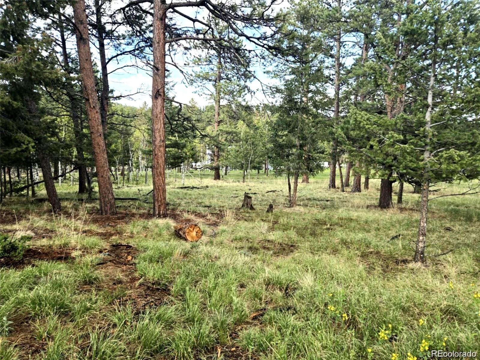 1845 Burland Drive Bailey CO 80421