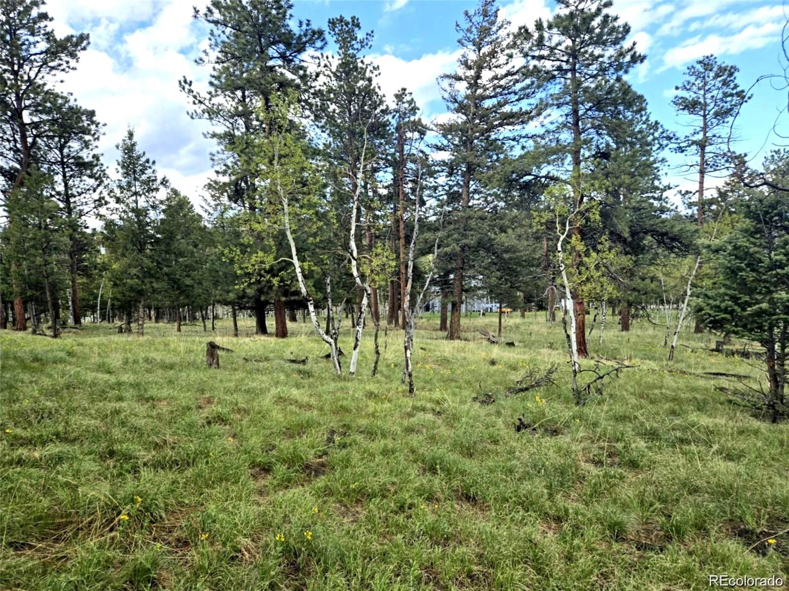 1845 Burland Drive Bailey CO 80421