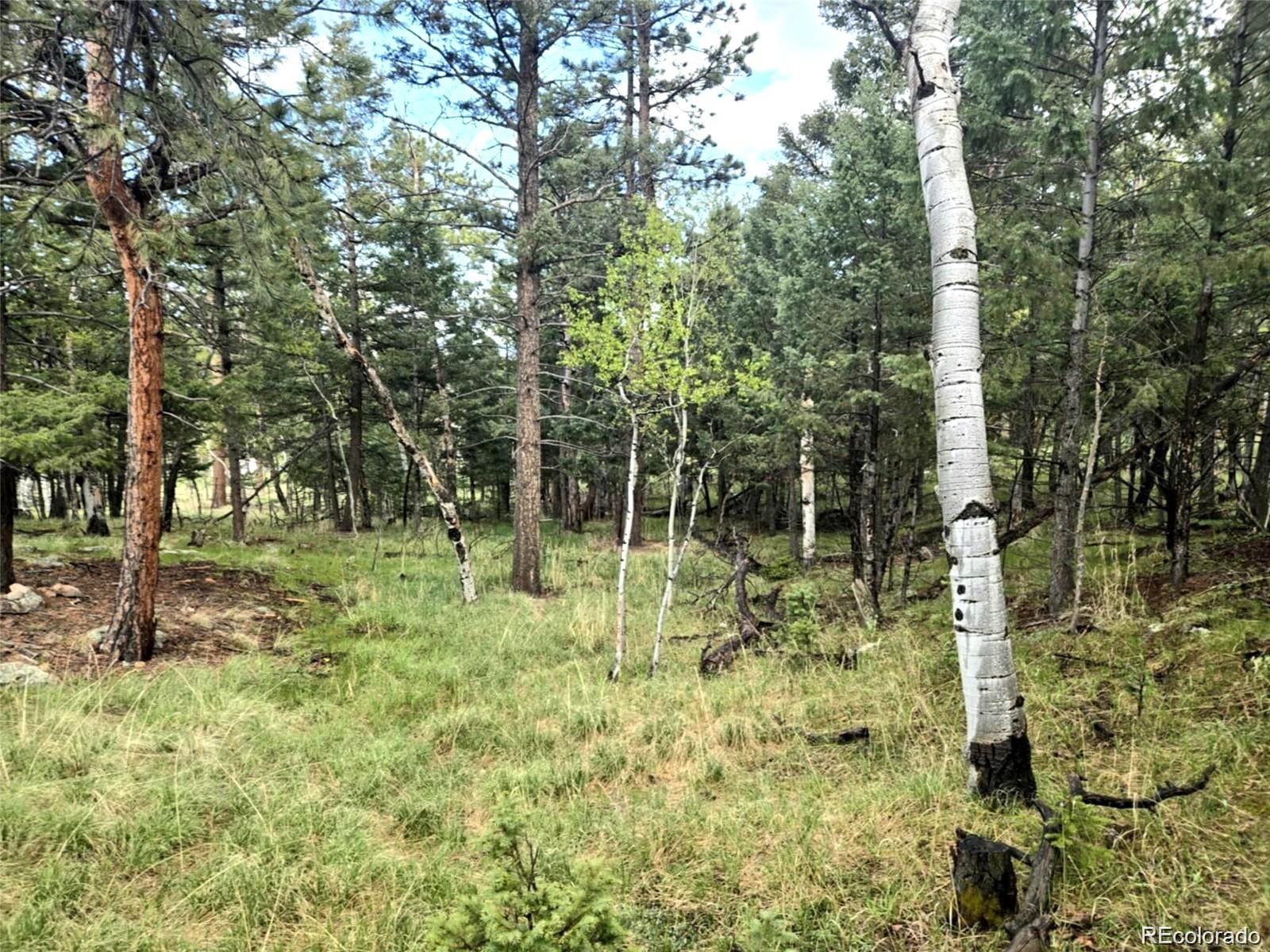 1845 Burland Drive Bailey CO 80421