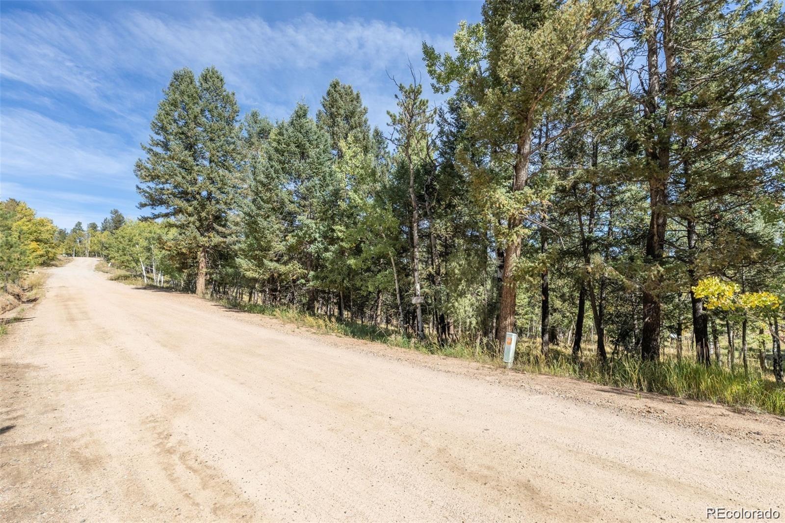 1845 Burland Drive Bailey CO 80421