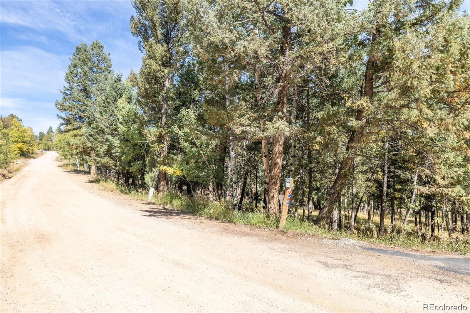 1845 Burland Drive Bailey CO 80421
