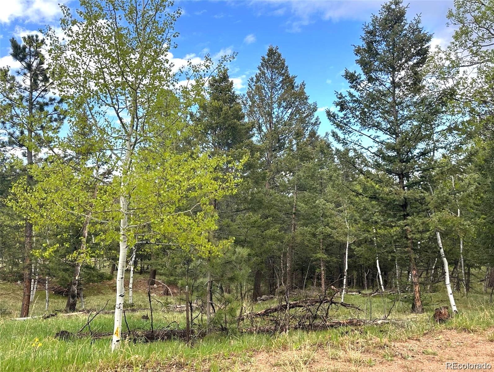1845 Burland Drive Bailey CO 80421