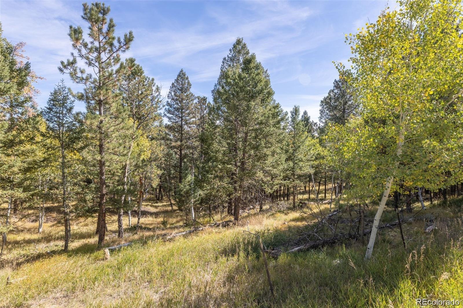 1845 Burland Drive Bailey CO 80421