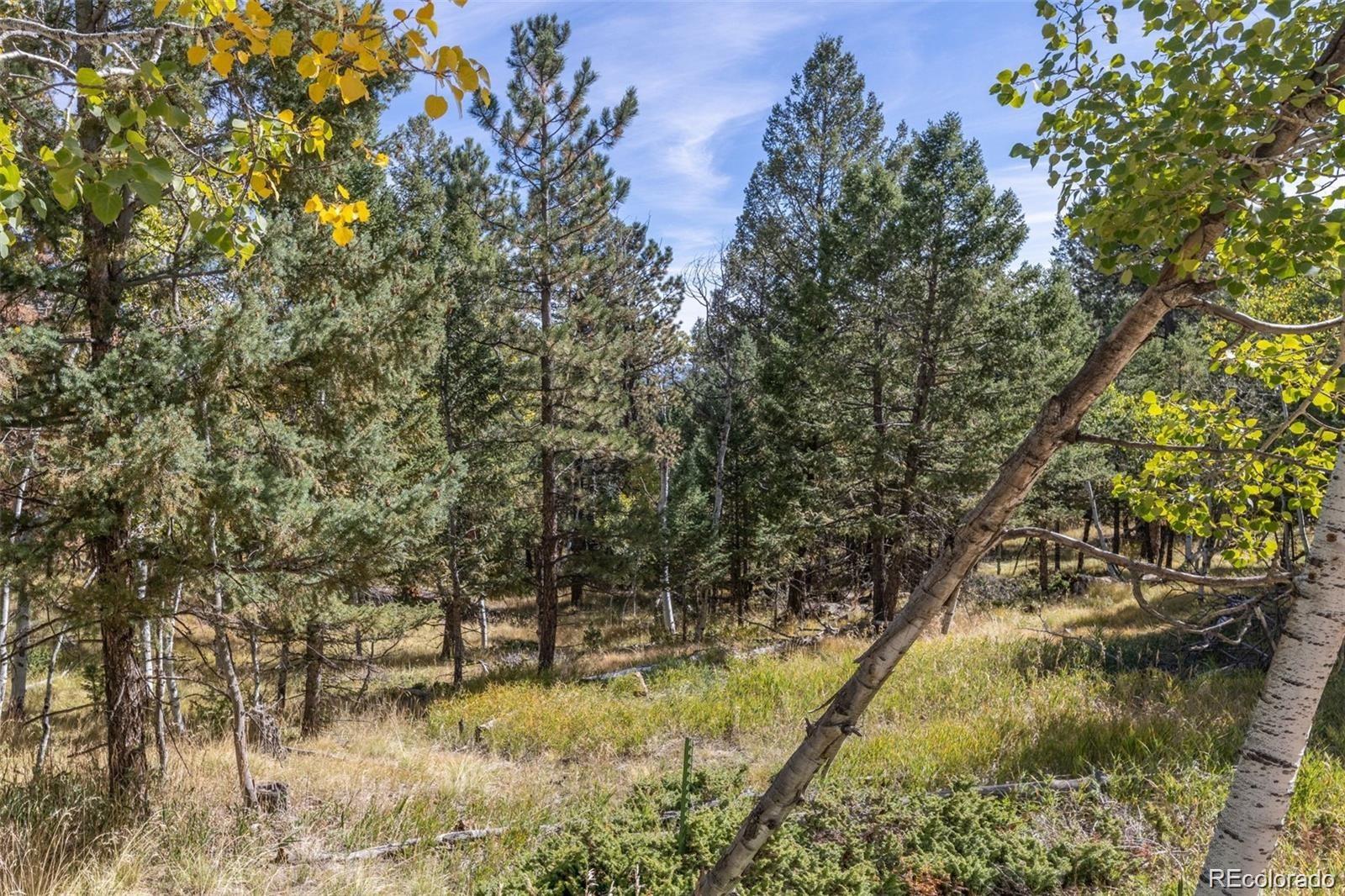 1845 Burland Drive Bailey CO 80421