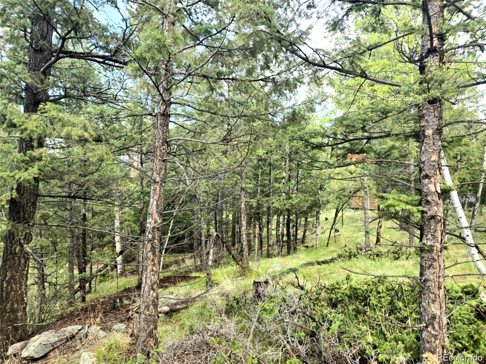 1845 Burland Drive Bailey CO 80421