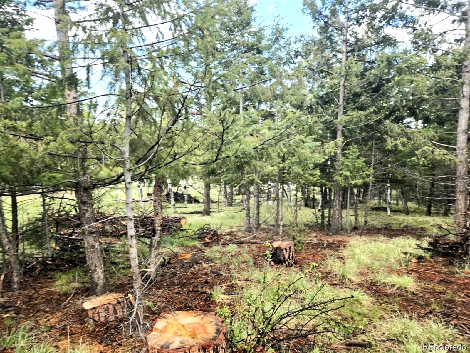 1845 Burland Drive Bailey CO 80421